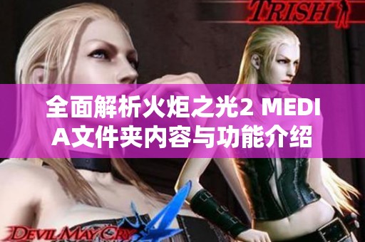 全面解析火炬之光2 MEDIA文件夹内容与功能介绍