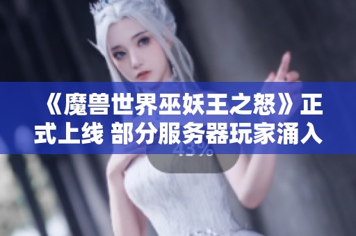 《魔兽世界巫妖王之怒》正式上线 部分服务器玩家涌入导致高负载