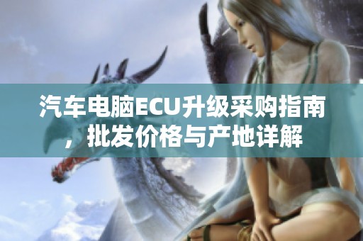 汽车电脑ECU升级采购指南，批发价格与产地详解