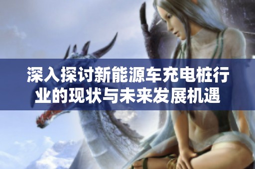 深入探讨新能源车充电桩行业的现状与未来发展机遇