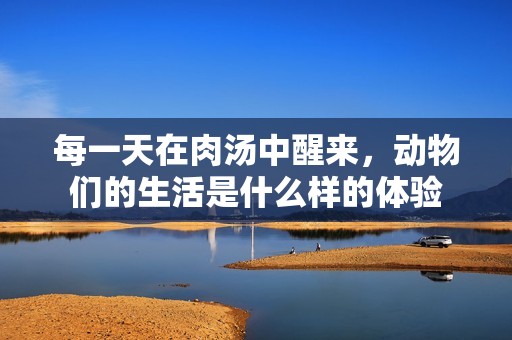每一天在肉汤中醒来，动物们的生活是什么样的体验