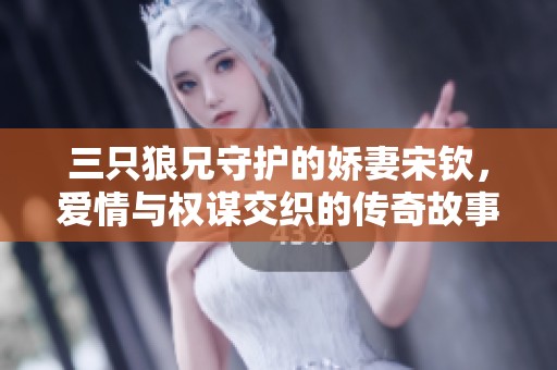 三只狼兄守护的娇妻宋钦，爱情与权谋交织的传奇故事