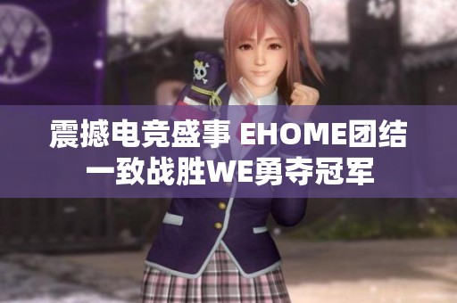 震撼电竞盛事 EHOME团结一致战胜WE勇夺冠军