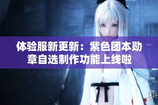 体验服新更新：紫色团本勋章自选制作功能上线啦