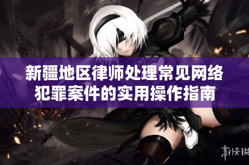 新疆地区律师处理常见网络犯罪案件的实用操作指南