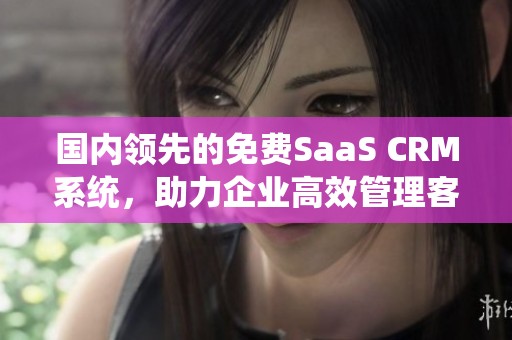 国内领先的免费SaaS CRM系统，助力企业高效管理客户关系