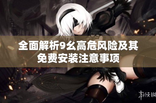 全面解析9幺高危风险及其免费安装注意事项