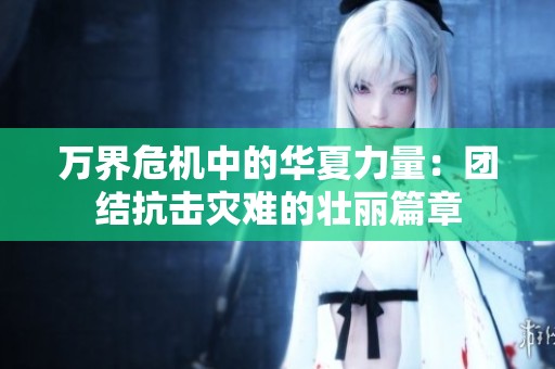 万界危机中的华夏力量：团结抗击灾难的壮丽篇章
