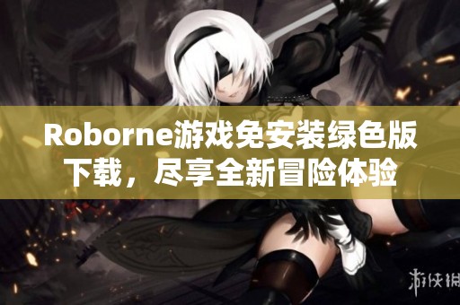 Roborne游戏免安装绿色版下载，尽享全新冒险体验