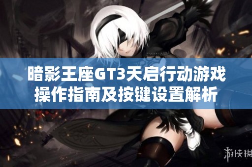 暗影王座GT3天启行动游戏操作指南及按键设置解析