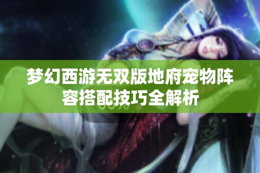 梦幻西游无双版地府宠物阵容搭配技巧全解析
