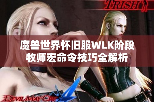 魔兽世界怀旧服WLK阶段牧师宏命令技巧全解析