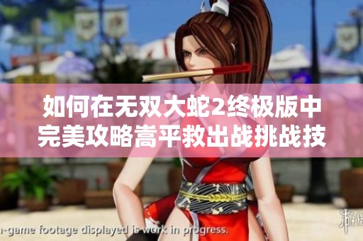 如何在无双大蛇2终极版中完美攻略嵩平救出战挑战技巧解析