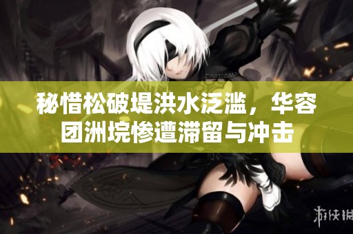 秘惜松破堤洪水泛滥，华容团洲垸惨遭滞留与冲击