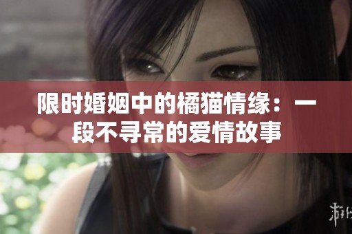 限时婚姻中的橘猫情缘：一段不寻常的爱情故事