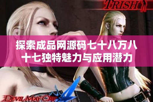 探索成品网源码七十八万八十七独特魅力与应用潜力
