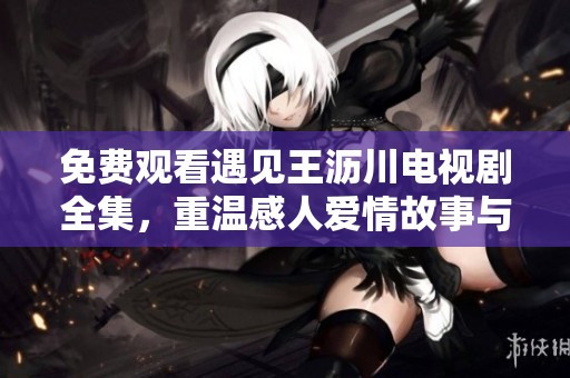 免费观看遇见王沥川电视剧全集，重温感人爱情故事与精彩剧情