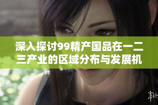 深入探讨99精产国品在一二三产业的区域分布与发展机遇