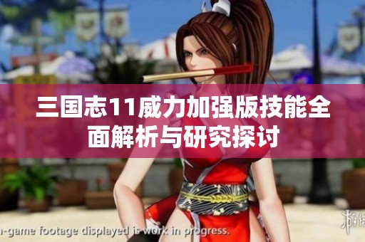 三国志11威力加强版技能全面解析与研究探讨