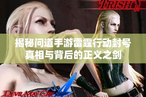 揭秘问道手游雷霆行动封号真相与背后的正义之剑