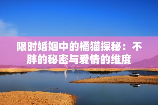 限时婚姻中的橘猫探秘：不胖的秘密与爱情的维度