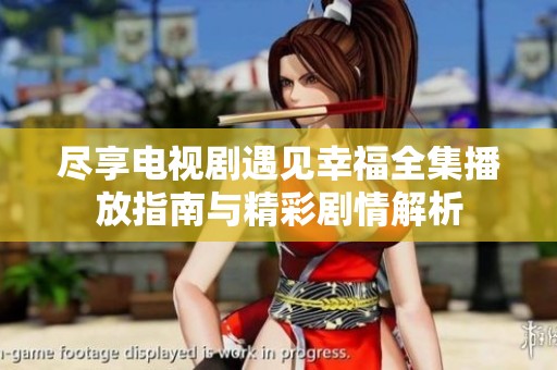 尽享电视剧遇见幸福全集播放指南与精彩剧情解析