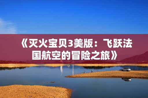 《灭火宝贝3美版：飞跃法国航空的冒险之旅》